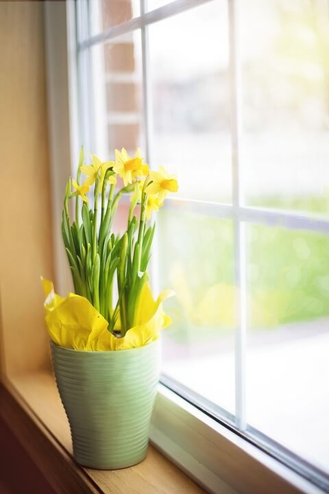 Flowers by the window