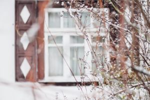 Winter window scene