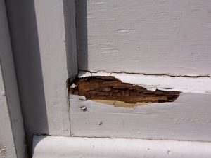 Wooden door with rot