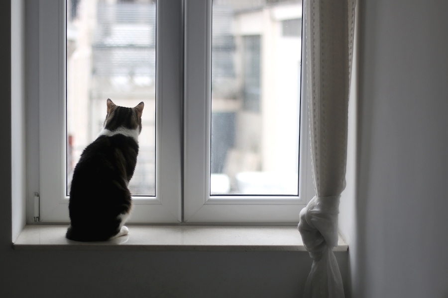 Tilt & turn window