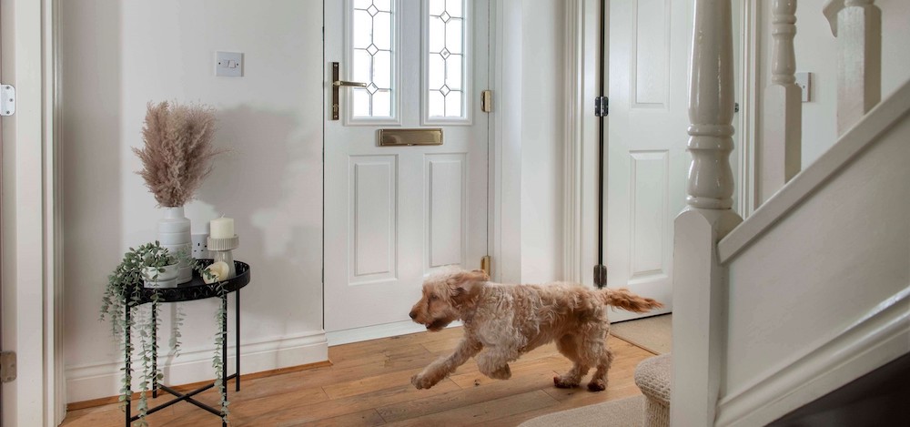 Dog running past a composite door