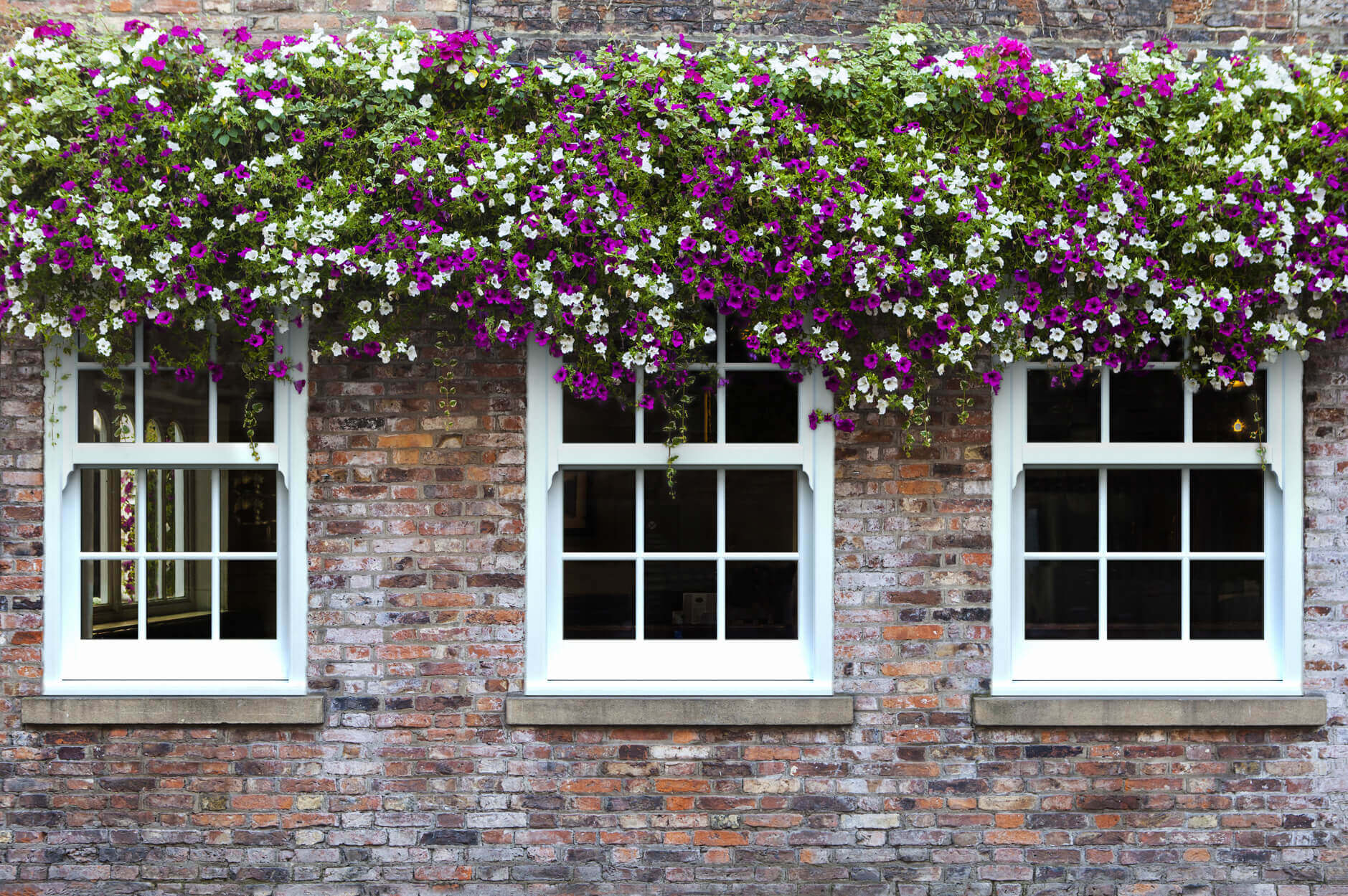 Why Sash Windows Are Ideal for Period Properties